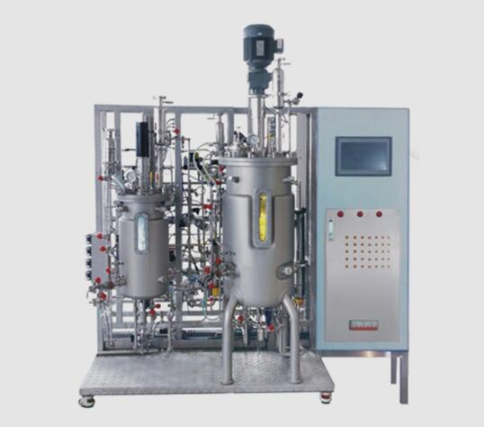 G-100L-4000L Two stage Bacterial Biofermenter Turn-Key Project with CIP